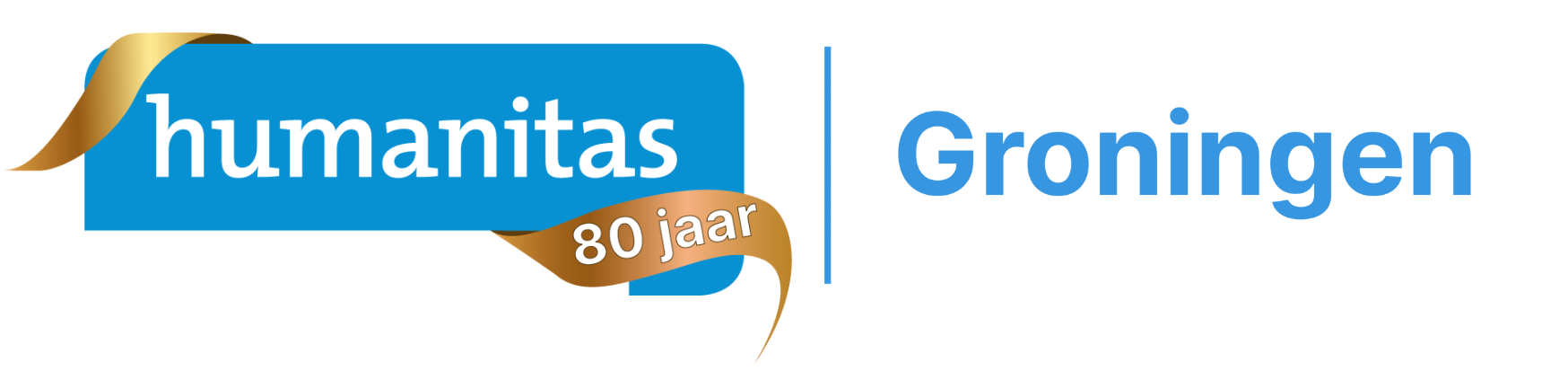 Logo 80 Jaar Tynaarlo - Losse Onderdelen